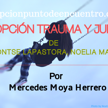 Adopción Trauma y juego. Reseña. Por Mercedes Moya