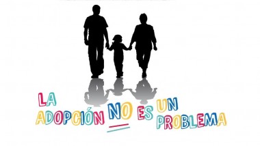 Resumen de un año: La adopción NO es un problema