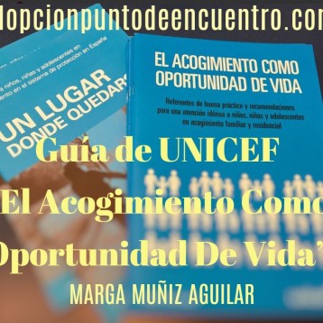 Presentación de la guía de UNICEF “El Acogimiento Como Oportunidad De Vida”