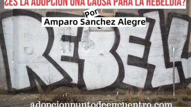 ¿Rebeldes con o sin causa justificada? Por Amparo Sánchez Alegre.