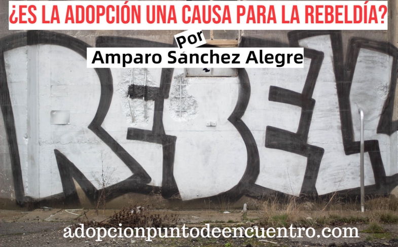 ¿Rebeldes con o sin causa justificada? Por Amparo Sánchez Alegre.