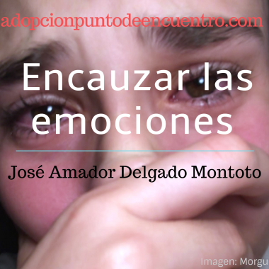 Encauzar las emociones. José Amador Delgado Montoto.
