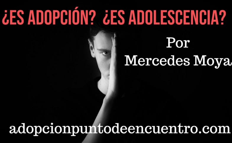 ¿Es adopción?¿Es adolescencia?. Por Mercedes Moya Herrero