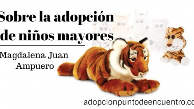 Sobre la adopción de niños mayores. Magdalena Juan Ampuero