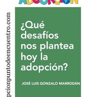 ABOOKCIÓN.¿Qué desafíos nos plantea hoy la adopción? De José Luis Gonzalo Marrodán