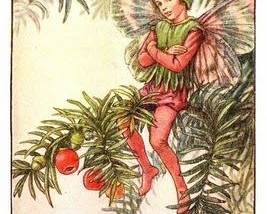 Y de regalo… cada Navidad.