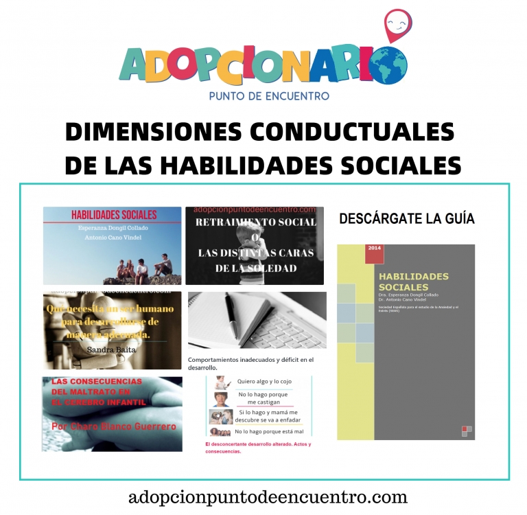 ADOPCIONARIO. Dimensiones conductuales.