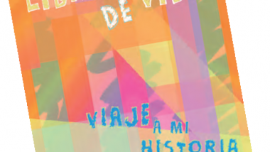 Guía para trabajar la historia de vida con niños y niñas. Acogimiento familiar y residencial