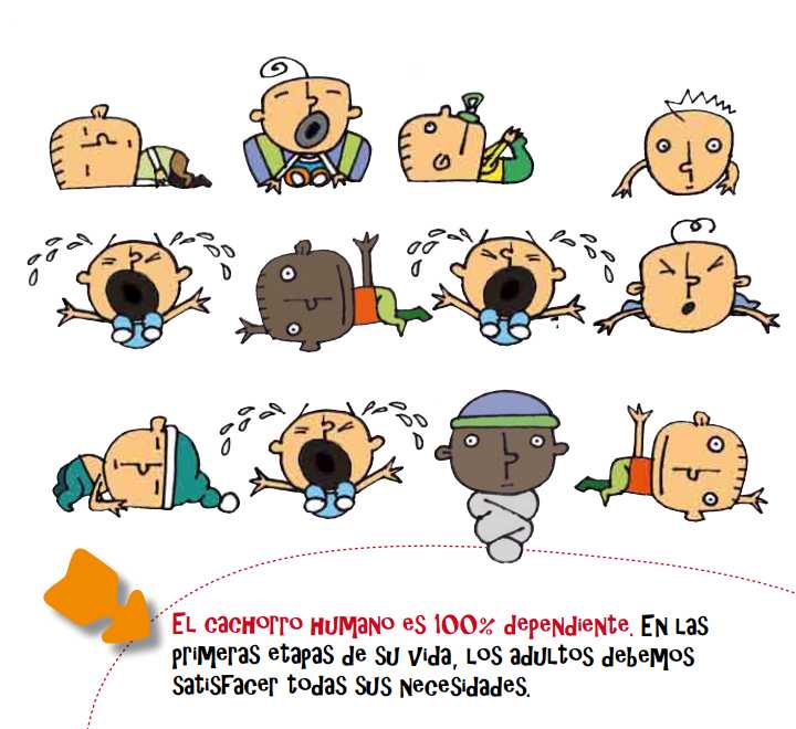 Guía ¿Mucho, poquito o nada?. Pautas de crianza