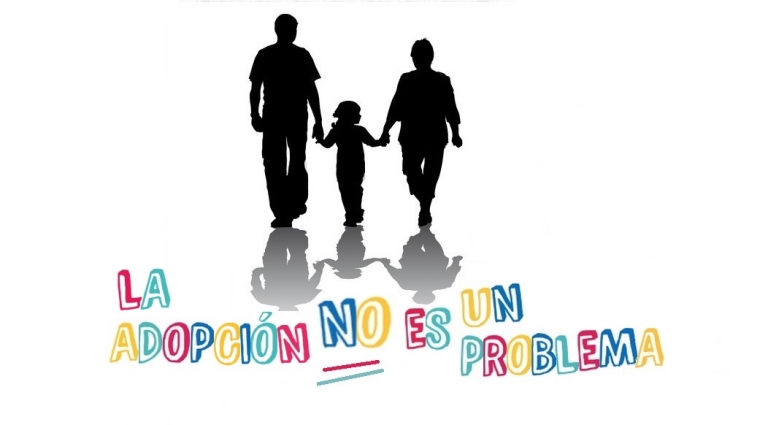 Resumen de un año: La adopción NO es un problema