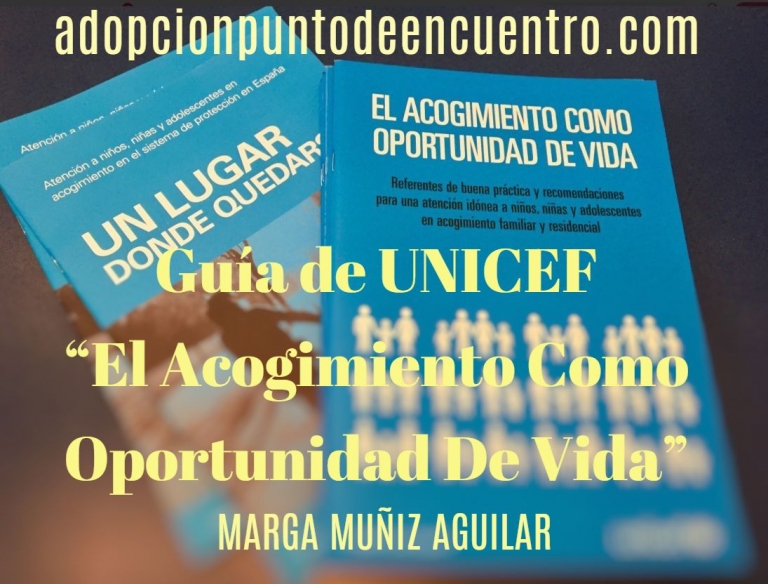Presentación de la guía de UNICEF “El Acogimiento Como Oportunidad De Vida”