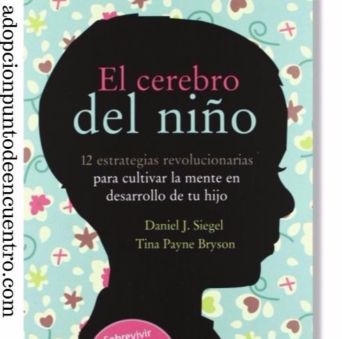 abook recomendado el cerebro del