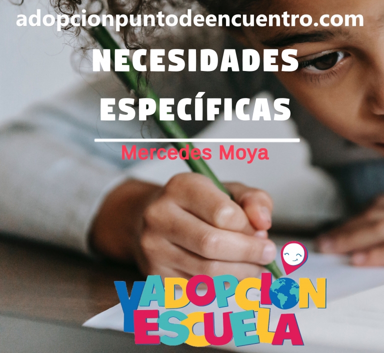 ADOPCIÓN Y ESCUELA. Necesidades Específicas. Mercedes Moya