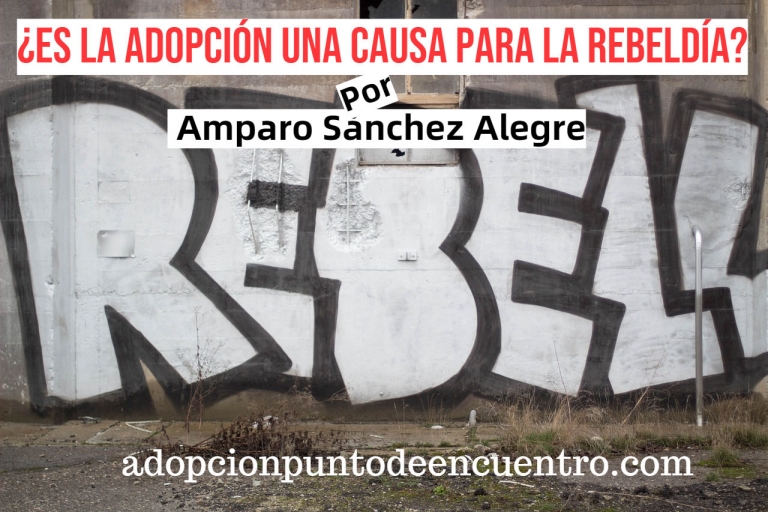 ¿Rebeldes con o sin causa justificada? Por Amparo Sánchez Alegre.