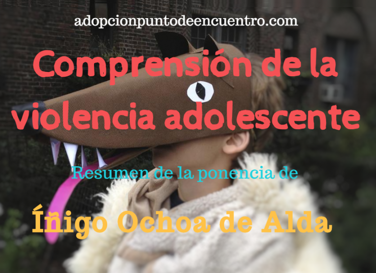 Comprensión de la violencia adolescente. Resumen de la ponencia de Íñigo Ochoa de Alda.