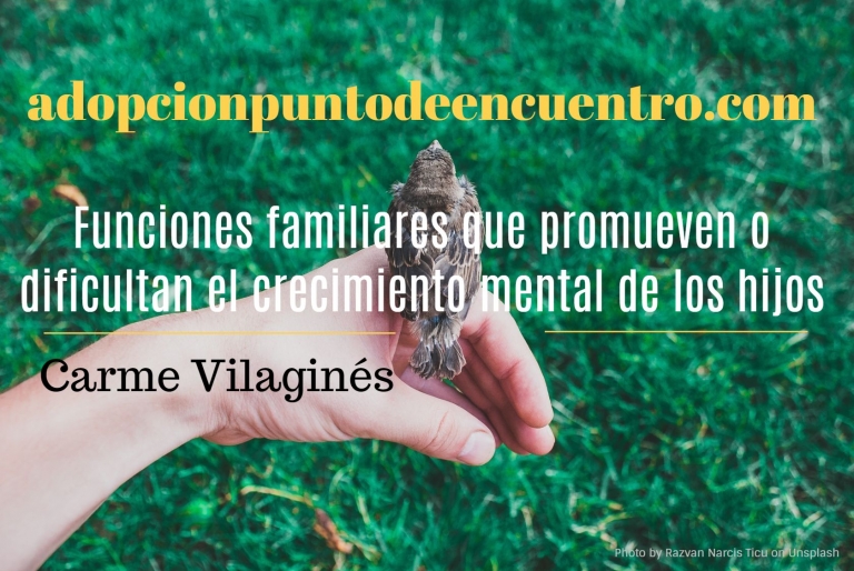 Funciones familiares que promueven o dificultan el crecimiento mental de los hijos. Carme Vilaginés.