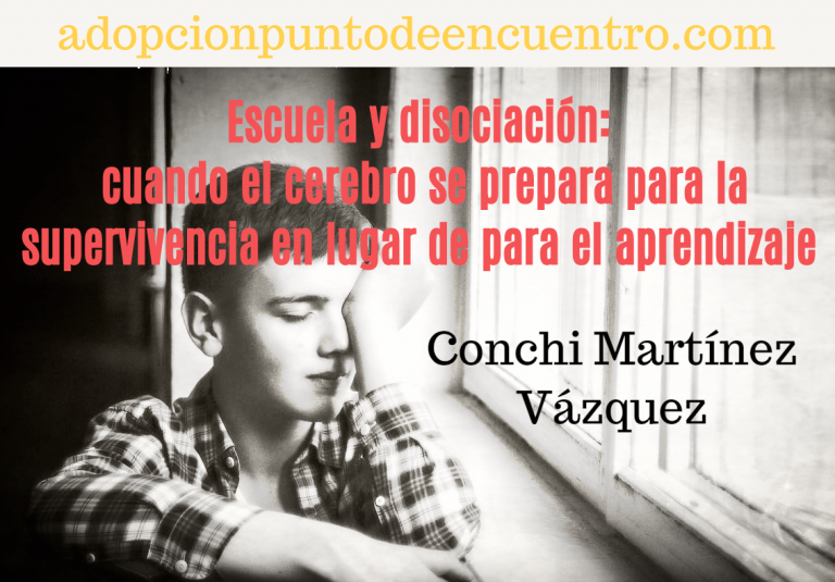 Escuela y disociación: cuando el cerebro se prepara para la supervivencia en lugar de para el aprendizaje. Por Conchi Martínez Vázquez