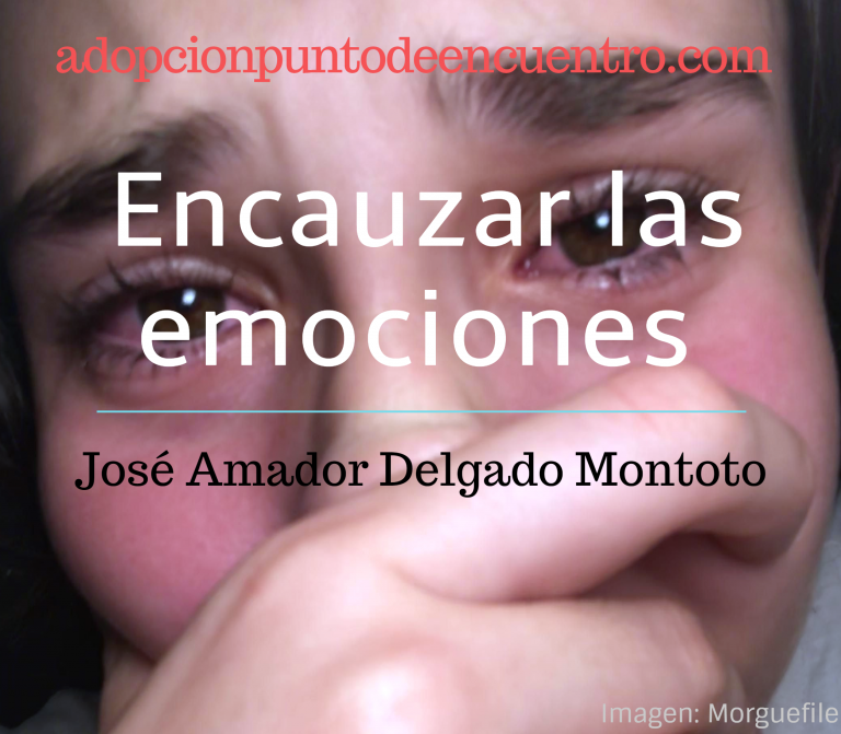 Encauzar las emociones. José Amador Delgado Montoto.