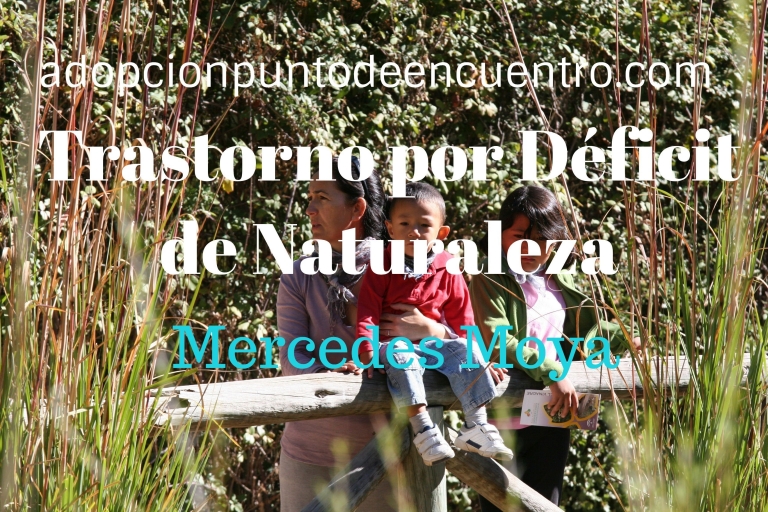Trastorno por Déficit de Naturaleza. Mercedes Moya