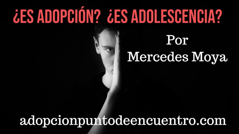 ¿Es adopción?¿Es adolescencia?. Por Mercedes Moya Herrero