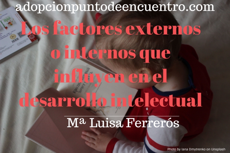 Los factores externos o internos que influyen en el desarrollo intelectual. Mª Luisa Ferrerós