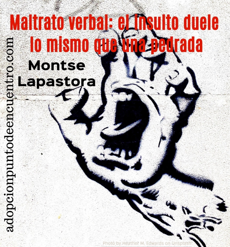Maltrato verbal: el insulto duele lo mismo que una pedrada. Montse Lapastora