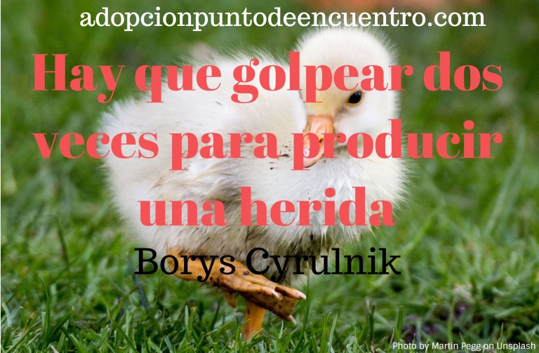 Hay que golpear dos veces para producir una herida.Borys Cyrulnik