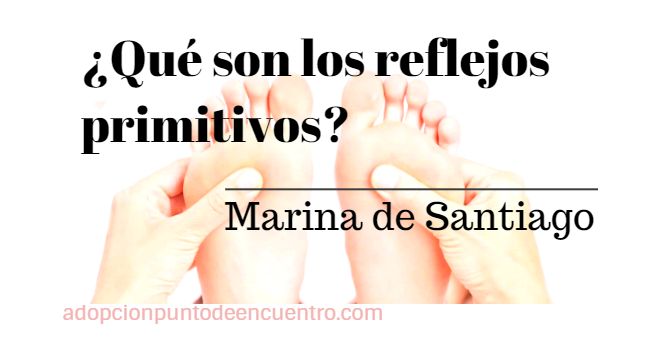 ¿Qué son los Reflejos Primitivos? Por Marina de Santiago