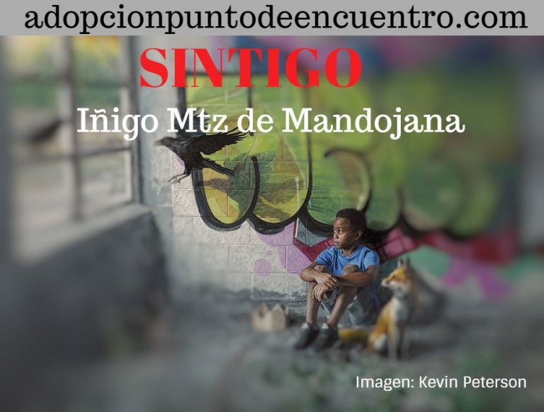 SINTIGO. Por Iñigo Martínez de Mandojana