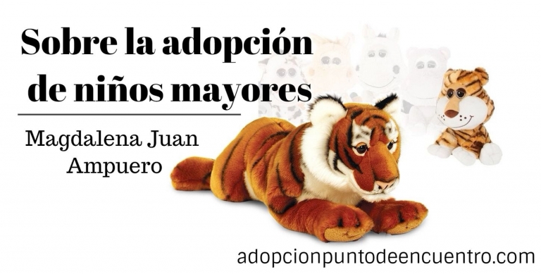 Sobre la adopción de niños mayores. Magdalena Juan Ampuero