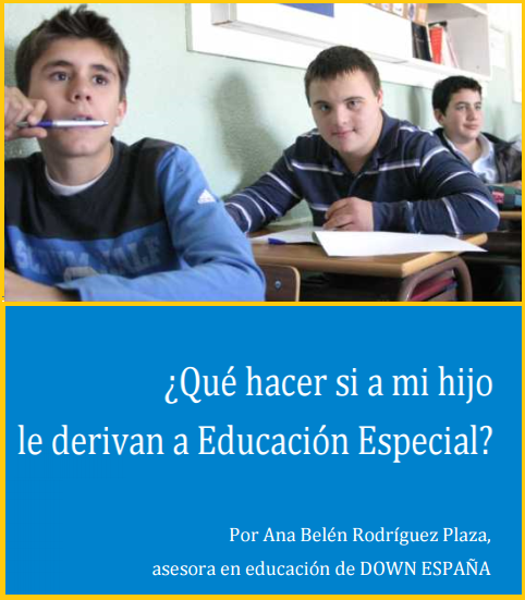 GUÍA ¿Qué hacer si a mi hijo le derivan a Educación Especial?